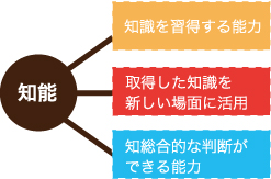 修明学園英才教室 知能とは